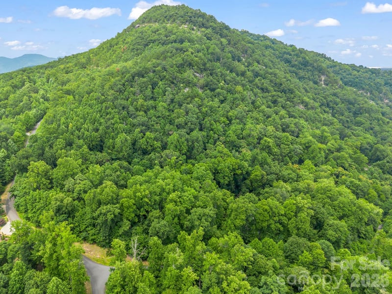 Lot 29 Matho Trace Apt 29, Lake Lure, NC -  - $77,500