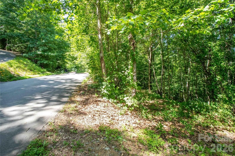 71 Timberwood Drive, Asheville, NC -  - $100,000