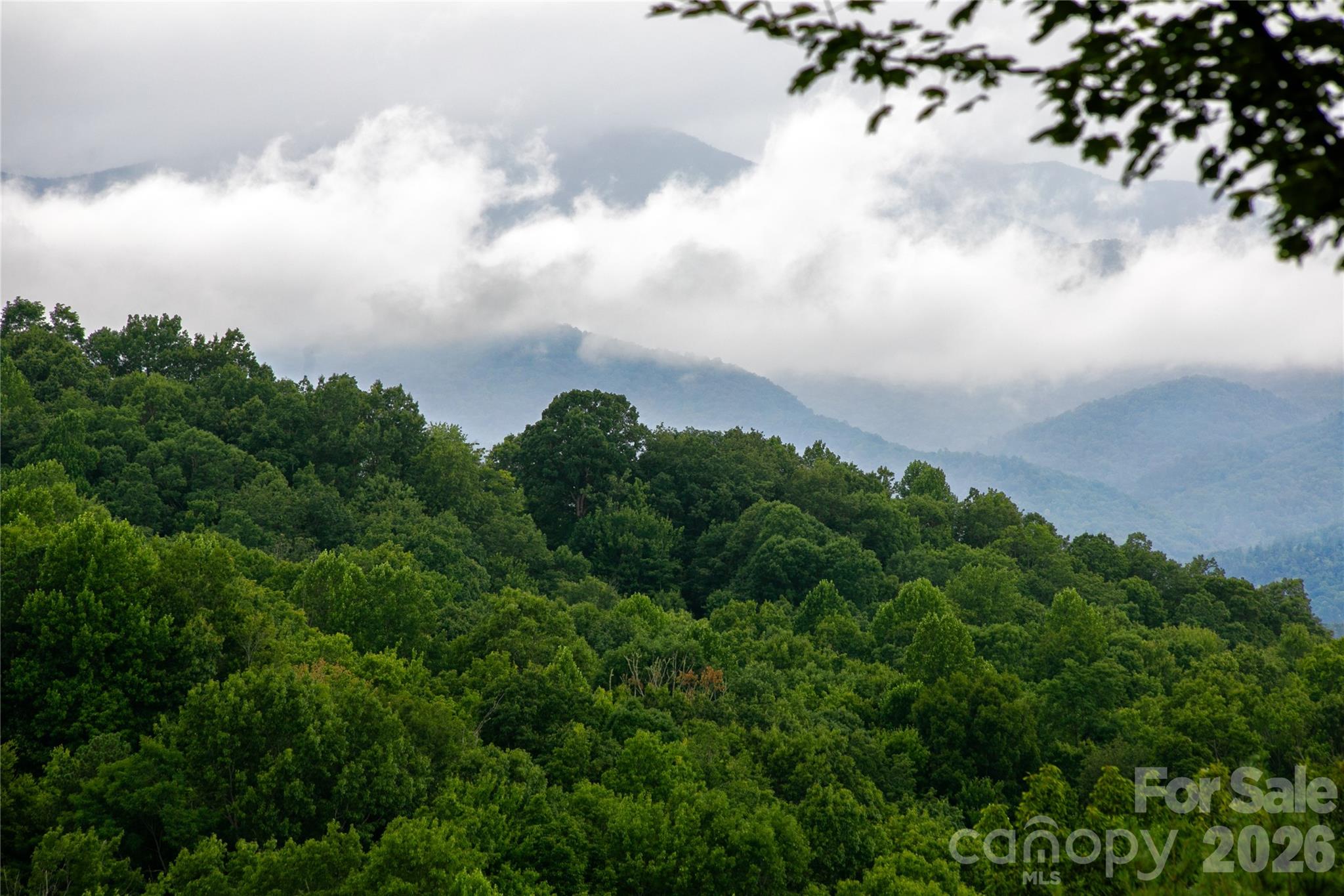 264 Tinequa Drive, Brevard, NC. property listing photo