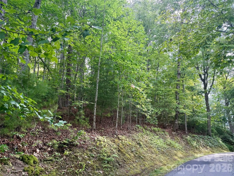 75 Longview Court Apt 4, Marshall, NC -  - $104,900