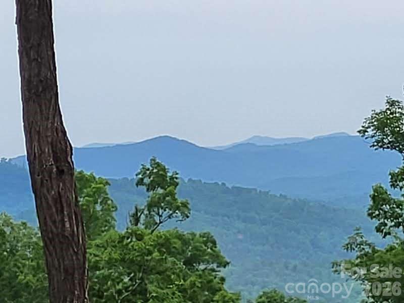 Lot 45 Ridgecrest Drive, Lake Lure, NC. property listing photo