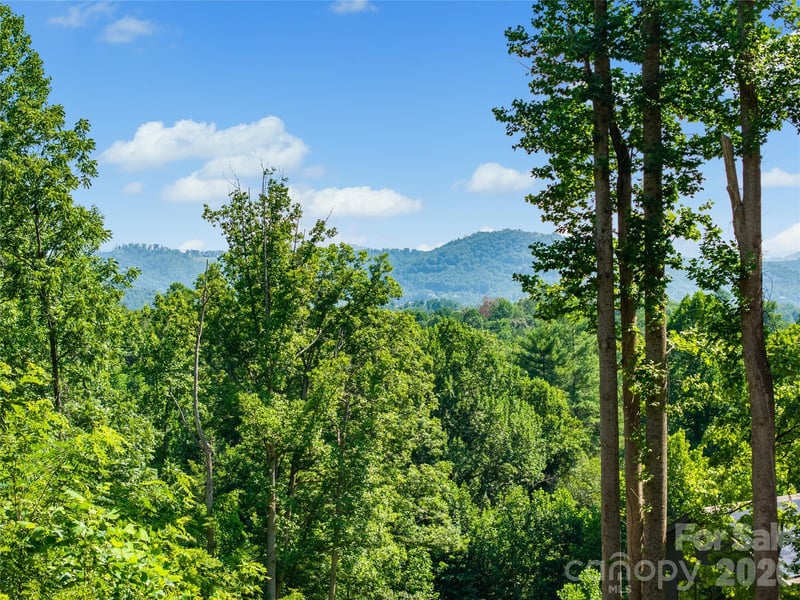 51 Wind Stone Drive, Asheville, NC -  - $195,000