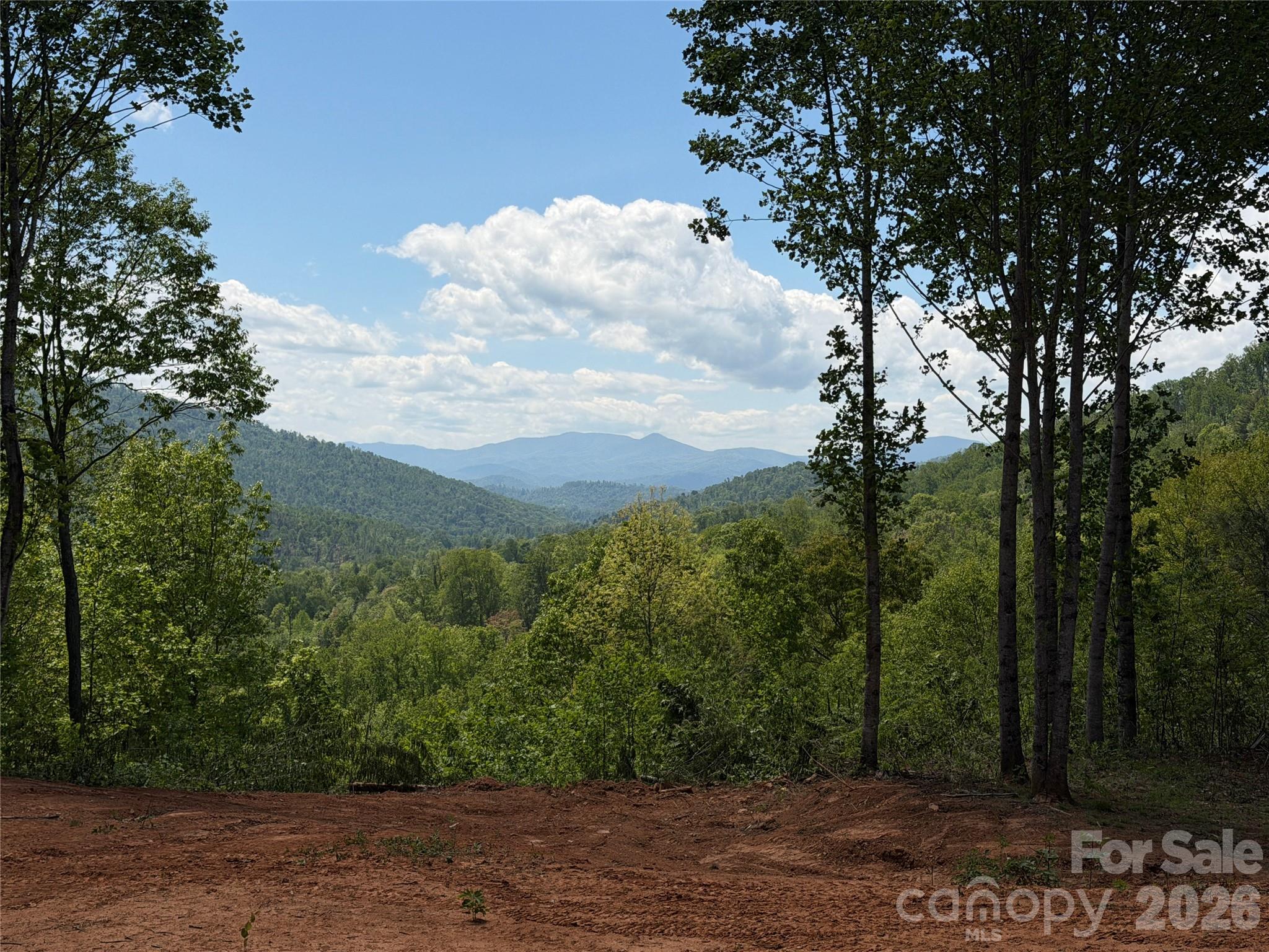 99999 Tipton Lane, Bakersville, NC. property listing photo
