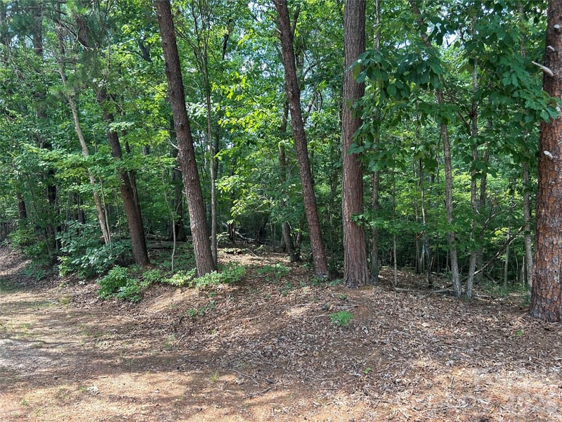 111 Peach Drive Apt 333, Troy, NC -  - $40,000