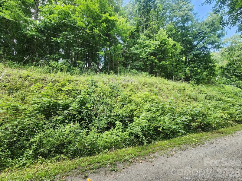 000 Jacks Knob Road, Weaverville, NC -  - $60,000