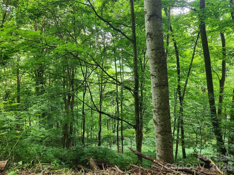 0000 Jacks Knob Road, Weaverville, NC -  - $55,000