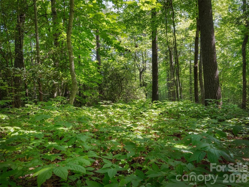 Lot 161 Eagle Lake Drive, Brevard, NC -  - $209,000