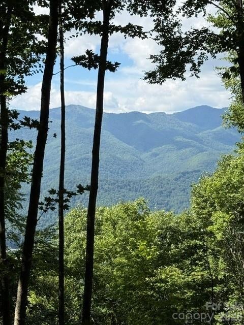 140 Boar Ridge Road, Sylva, NC -  - $750,000