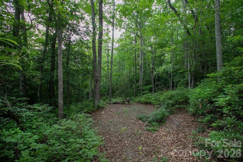 Lot 28 Big Hill Road Apt 28, Brevard, NC -  - $120,000
