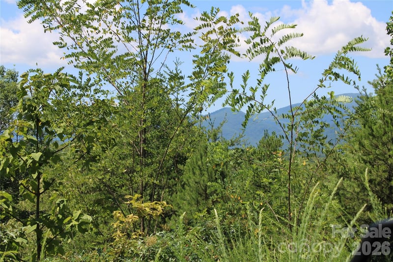 00 Sparrows Way, Lake Lure, NC -  - $7,500