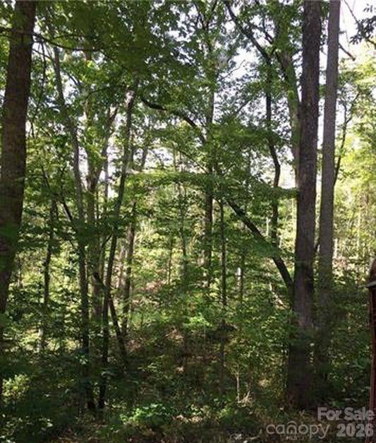 Lot 25 Bluebird Terrace, Lake Lure, NC -  - $9,500