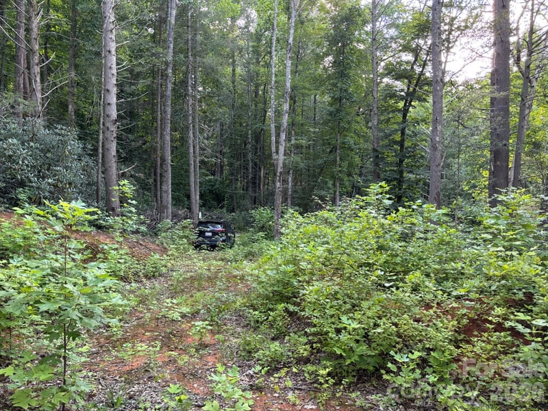 Lot 41 Peace Wood Lane Apt 41, Hendersonville, NC -  - $30,000