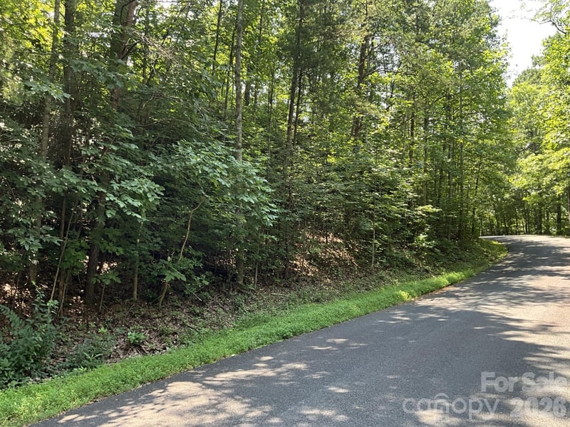 Lot 77 Winesap Boulevard, Lake Lure, NC -  - $14,900