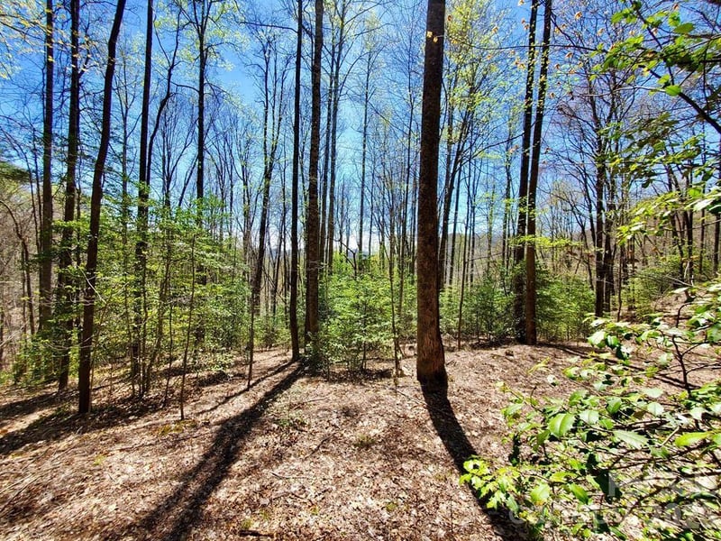 Lot 9 Hemlock Falls Drive Apt 9, Sylva, NC -  - $38,700