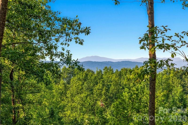 207 Mossy Oak Trail Apt 166, Nebo, NC -  - $129,000