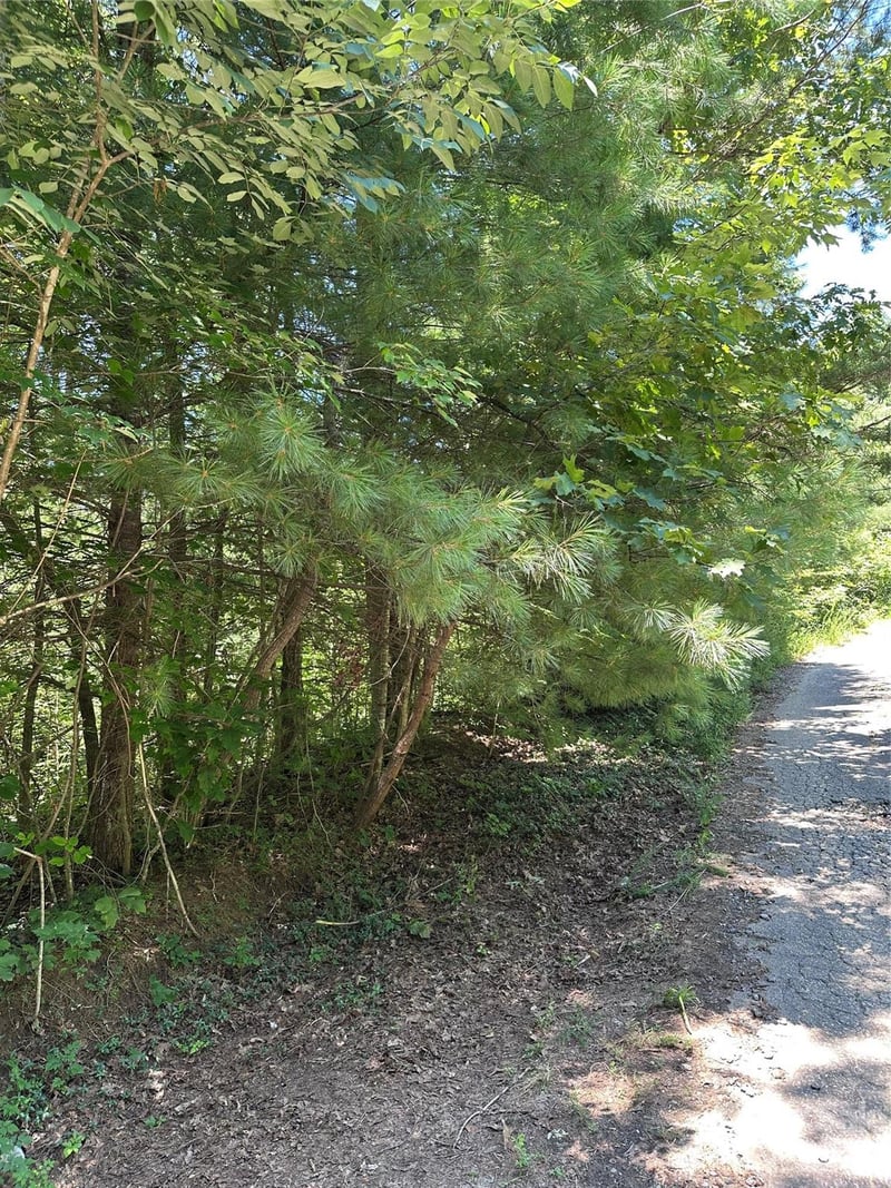 3960 Winston Drive, Morganton, NC -  - $20,000
