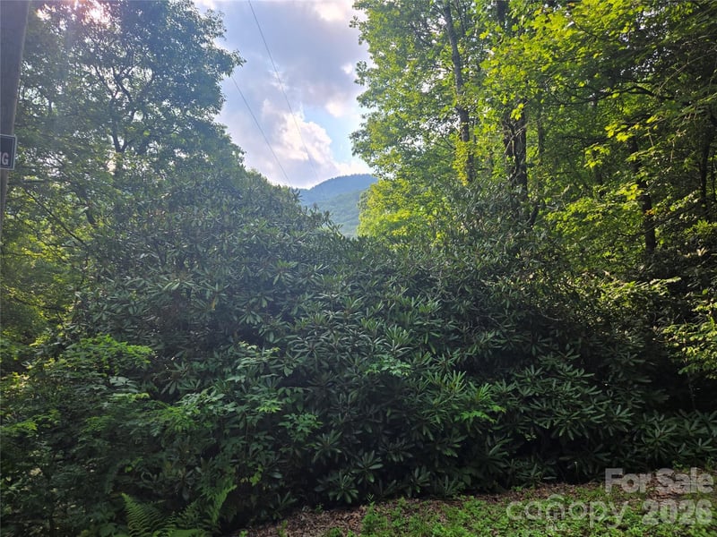 000 Greenspire Drive, Sylva, NC -  - $35,000