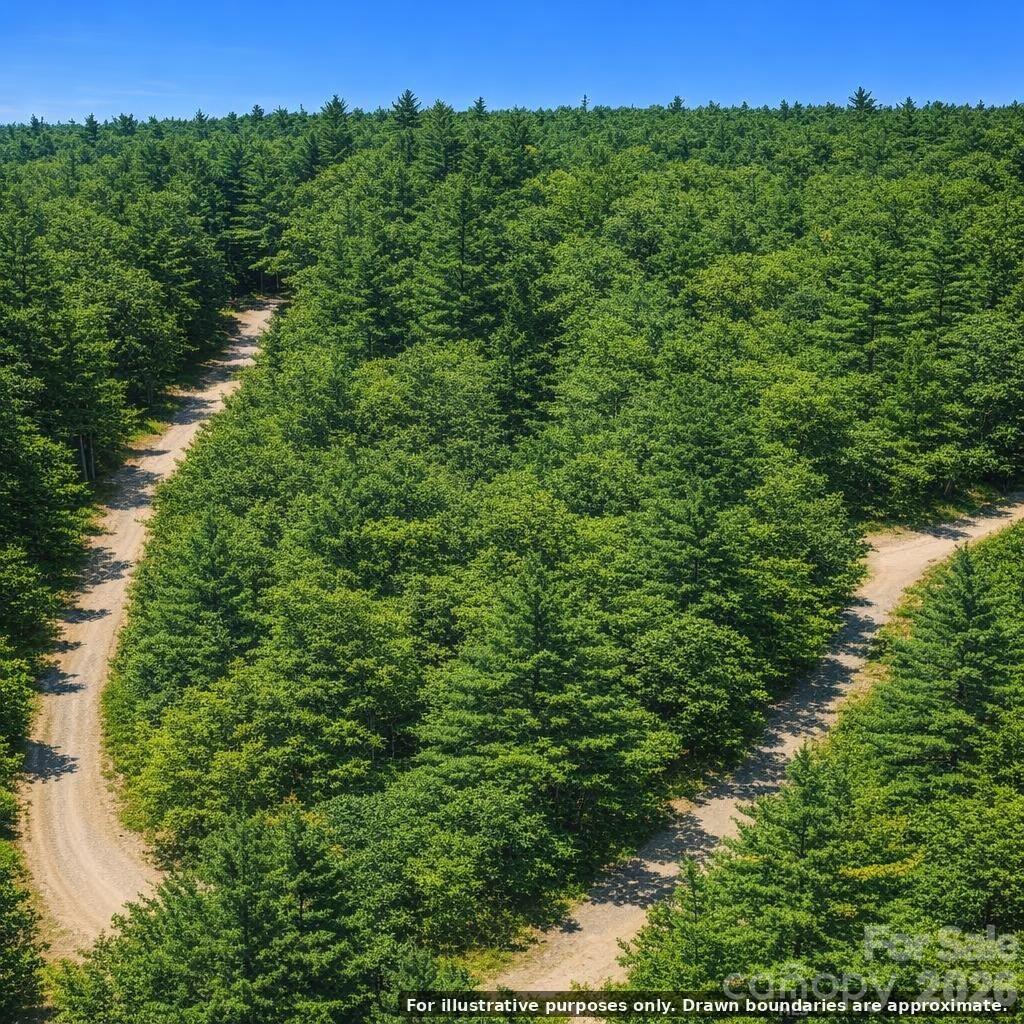 Lot 124 Trellis Drive, Nebo, NC. property listing photo