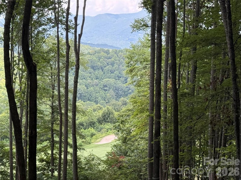 1781 High Line Road Apt 63, Sylva, NC -  - $1,050,000