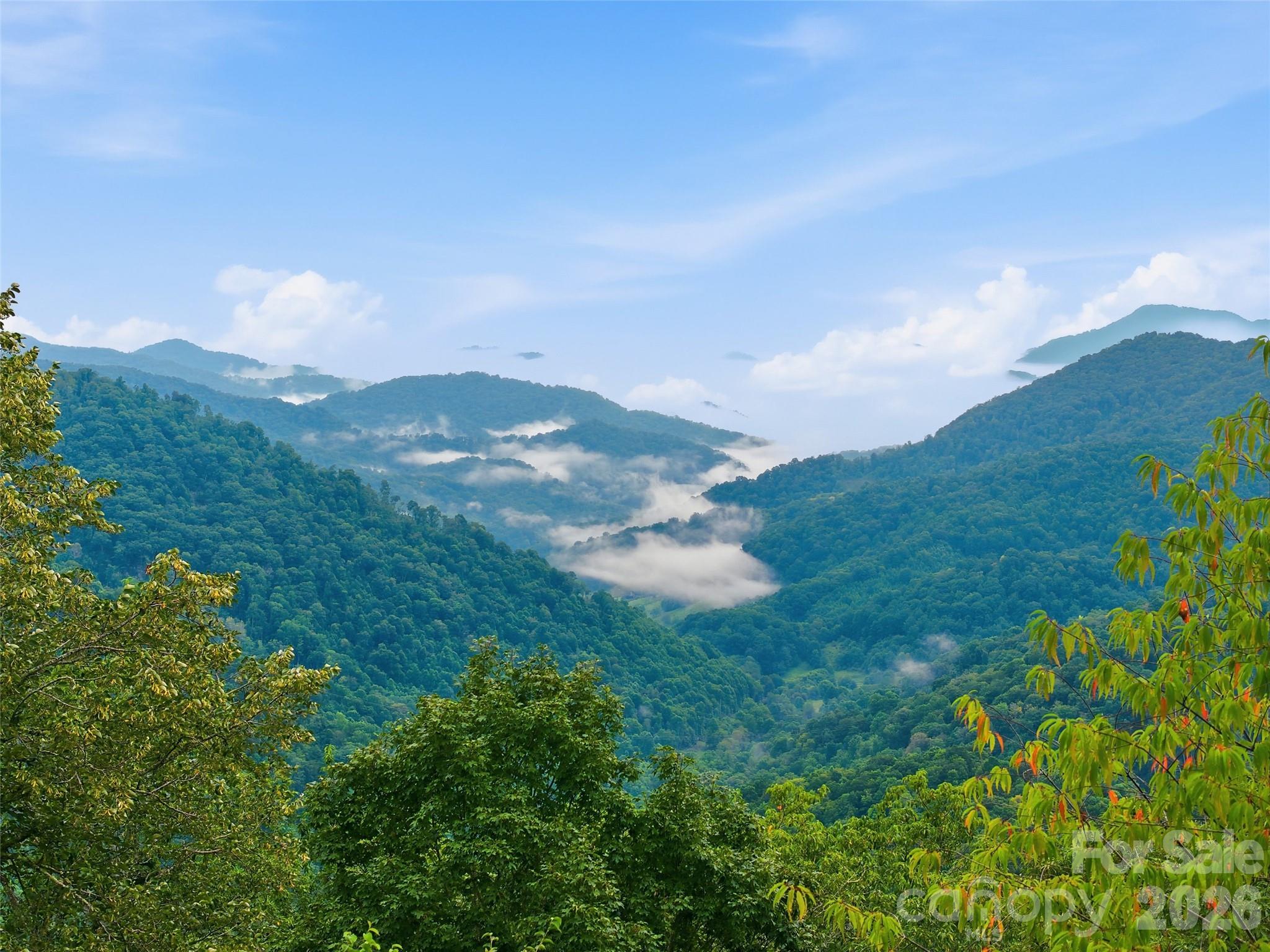 Lot 50 Running Cedar Drive, Mars Hill, NC. property listing photo