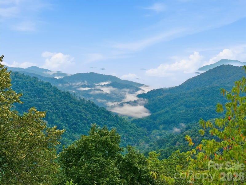 Lot 50 Running Cedar Drive, Mars Hill, NC -  - $38,500