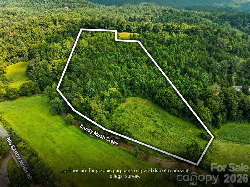 99999 Big Sandy Mush Road, Leicester, NC -  - $175,000