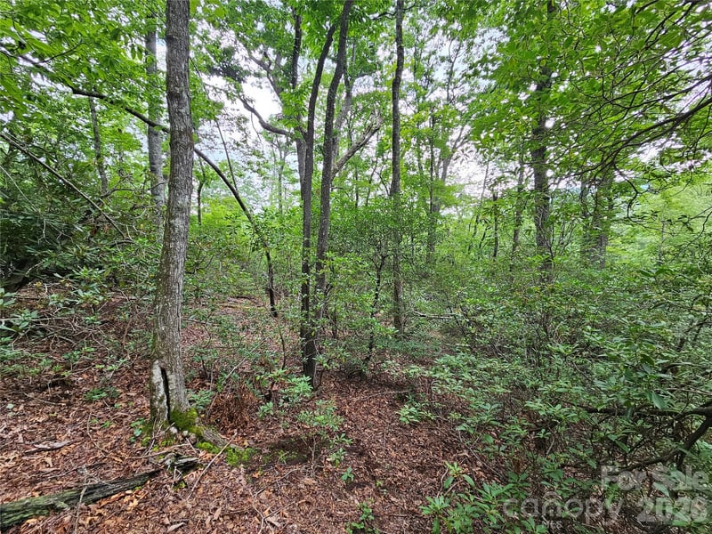 98 Down To Earth Drive Apt 98, Burnsville, NC -  - $28,500