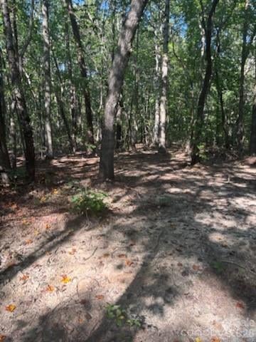 TBD Bud Arndt Road, Maiden, NC -  - $477,000