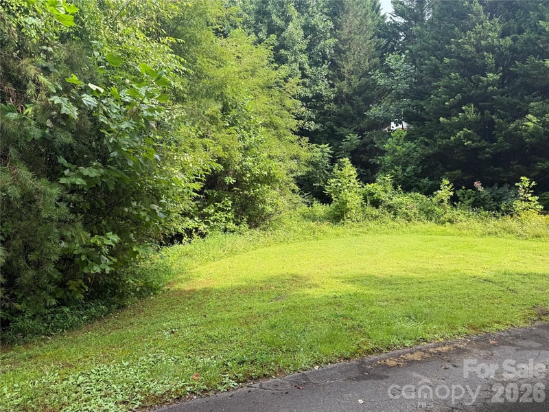 99999 White Oak Drive, Marshall, NC -  - $50,000