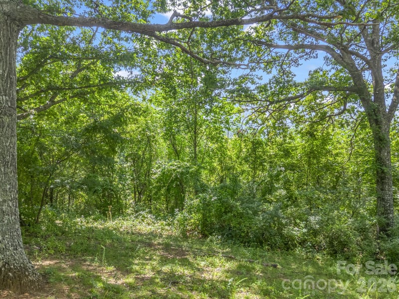 61 Sugar Maple Drive, Black Mountain, NC -  - $189,000