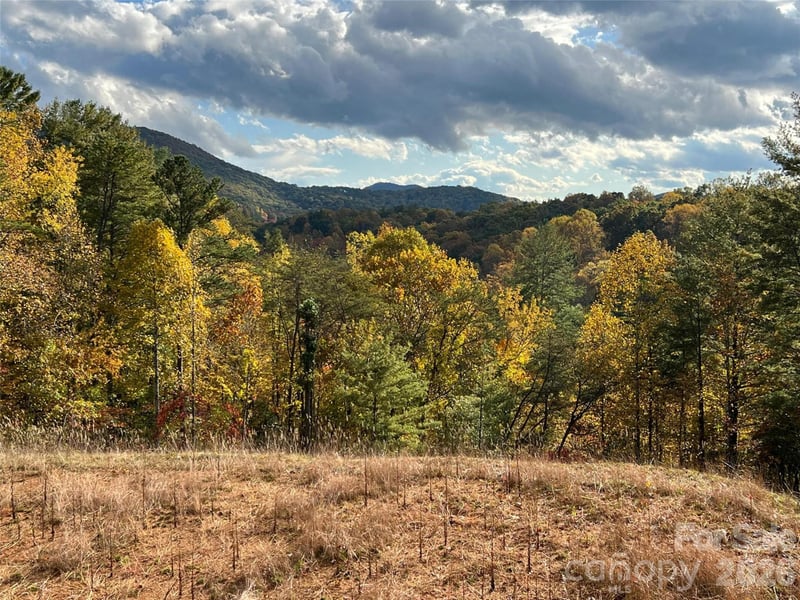 165 Riverbend Forest Drive Apt 11, Asheville, NC -  - $210,000