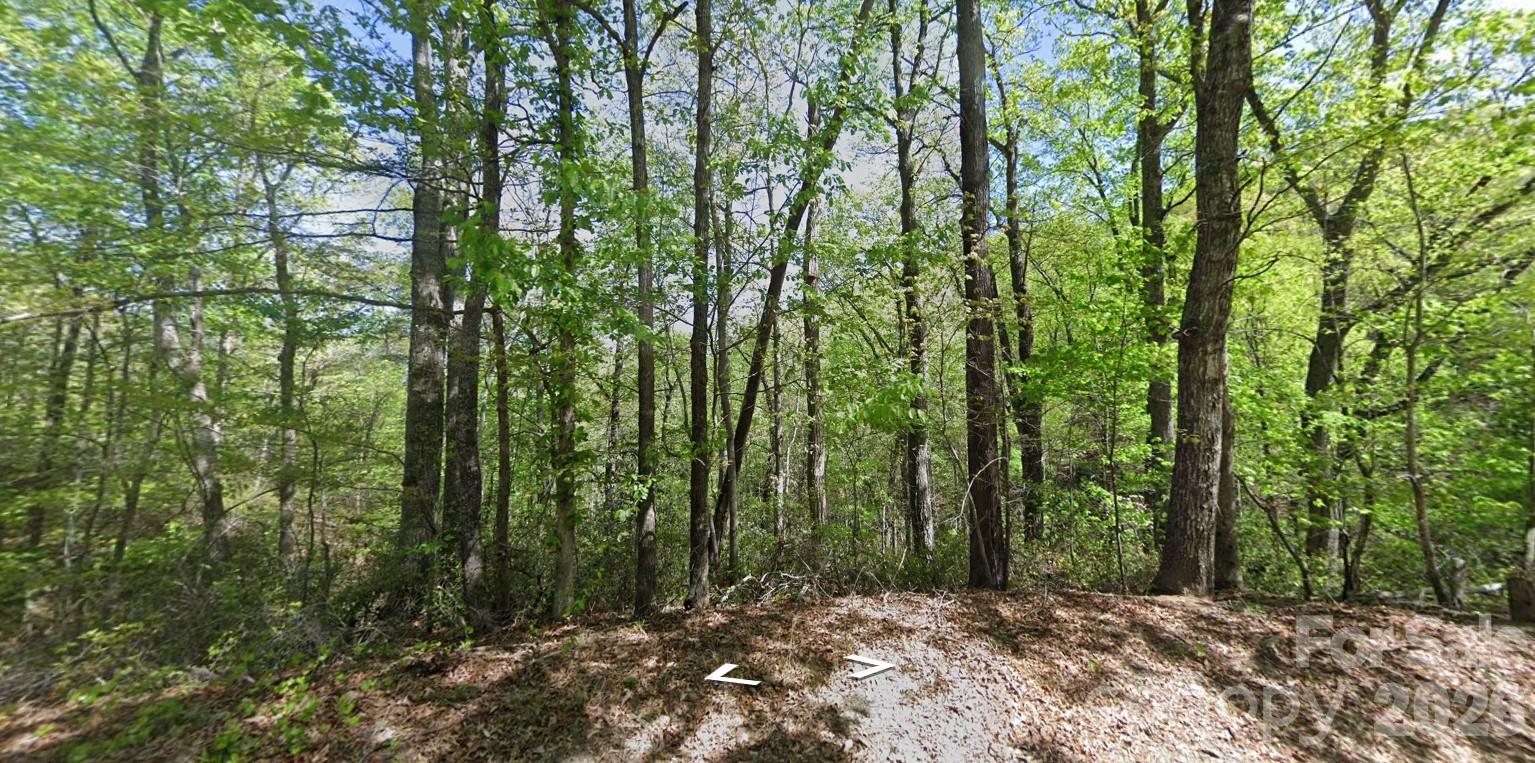 0 Buzzards Place, Lake Lure, NC. property listing photo