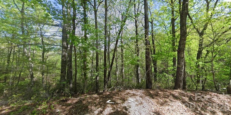 0 Buzzards Place, Lake Lure, NC -  - $14,000