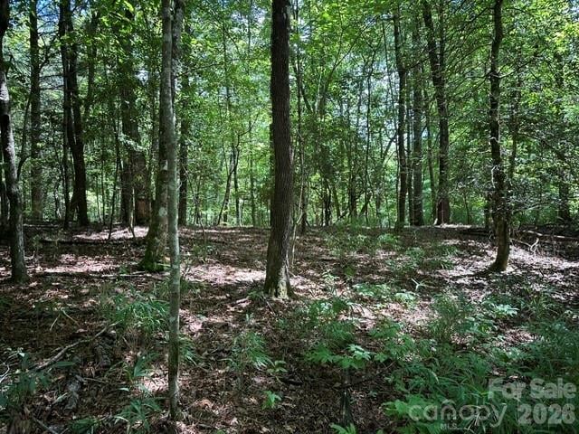 TBD Blossom Road, Brevard, NC -  - $45,000