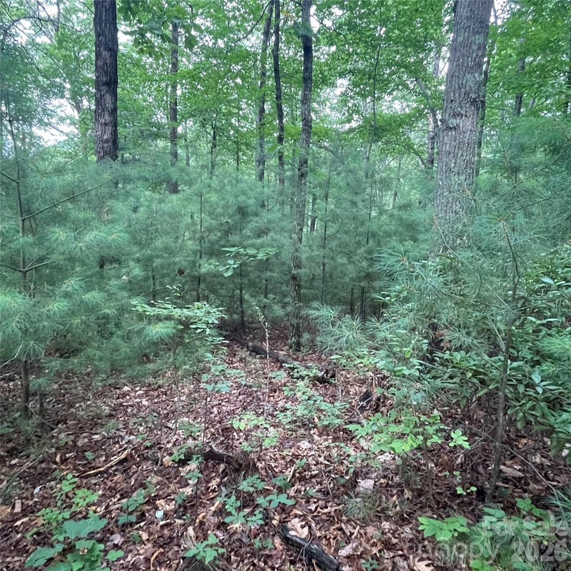 0 Mulberry Divide, Zirconia, NC -  - $70,000
