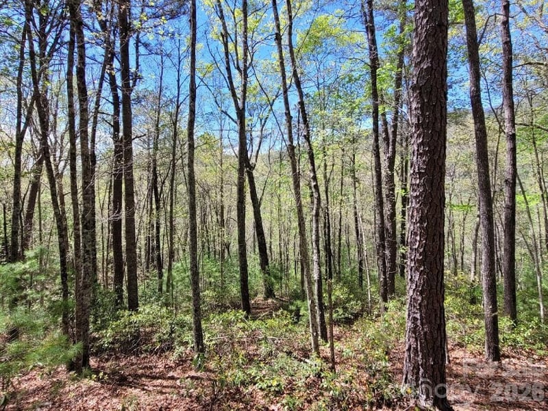 Lot 21 Little Fox Run, Marion, NC -  - $22,500
