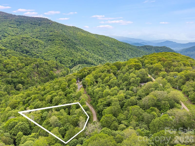 65 Bee Tree Lane, Mars Hill, NC -  - $19,000