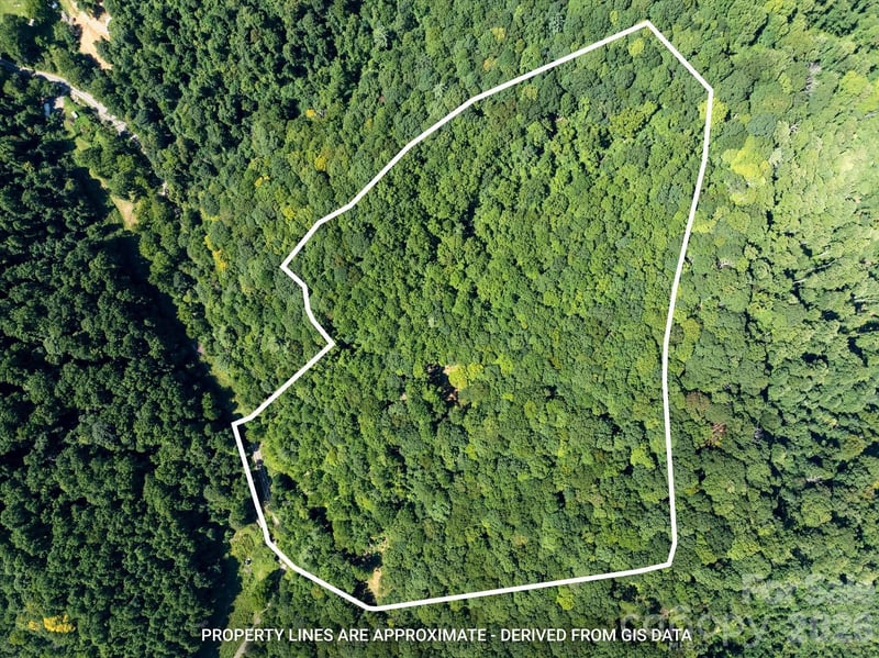 99999 Patsy Creek Road, Burnsville, NC -  - $250,000
