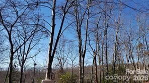 TBD Galax Lane G-11, Brevard, NC -  - $49,000