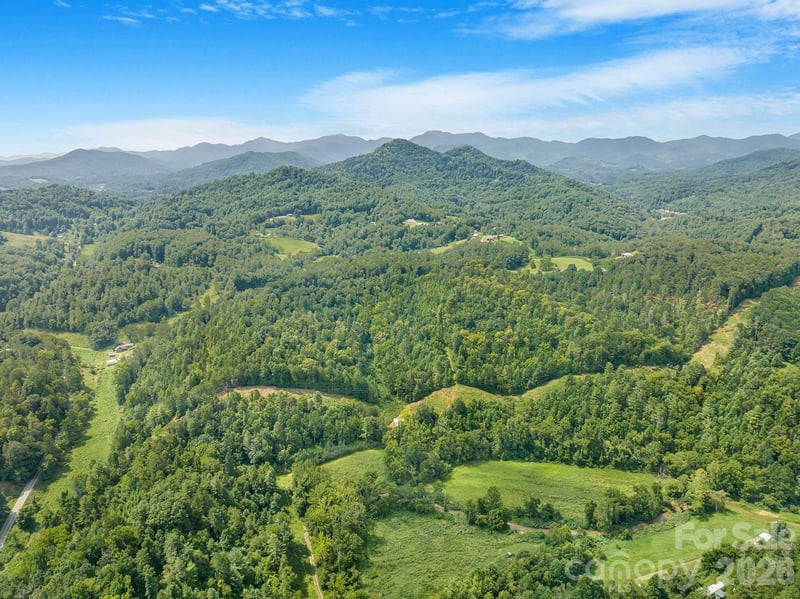99999 Meadows Town Road, Leicester, NC -  - $840,000