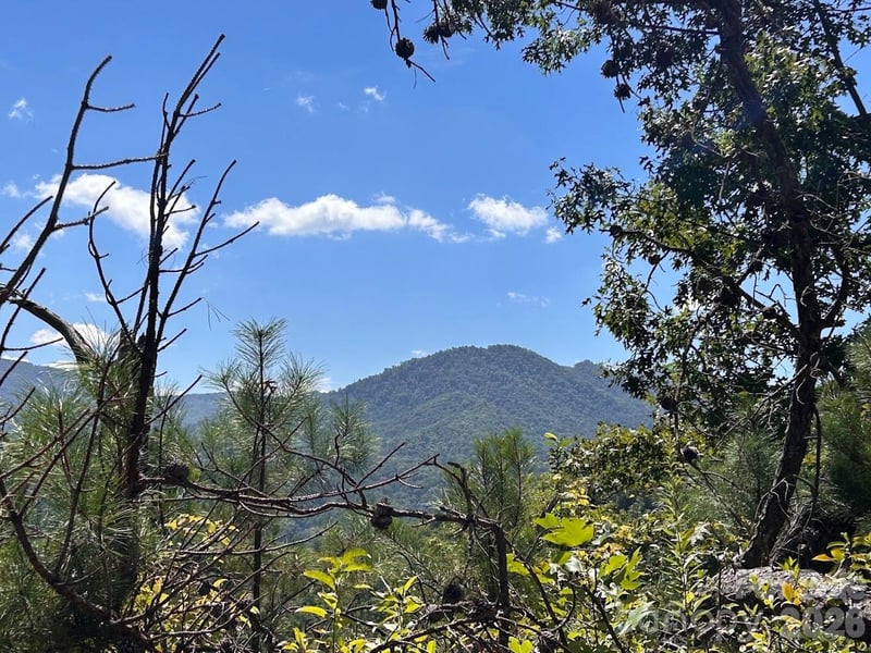 9999 US Hwy 441 Highway S, Sylva, NC -  - $85,000
