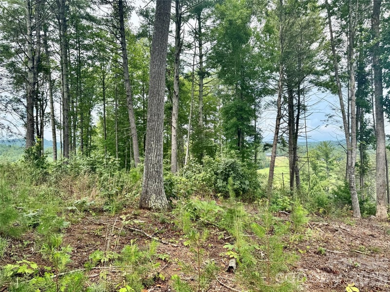 2070 Thoroughbred Way G18, Lenoir, NC -  - $150,000