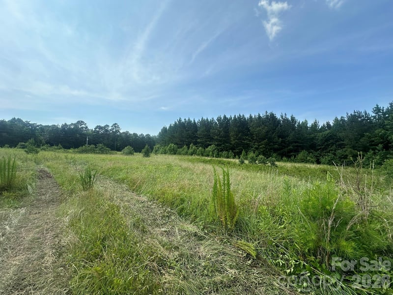 2 Hwy 73 Highway, Iron Station, NC -  - $475,000