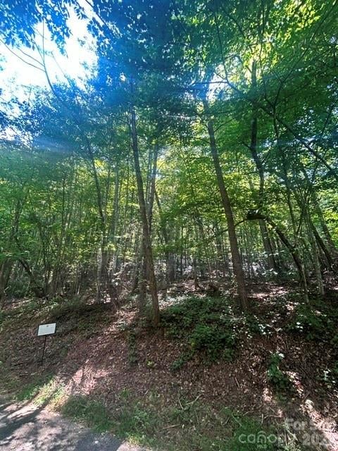 Lot 272 Hummingbird Court Apt 272, Lake Lure, NC -  - $15,000