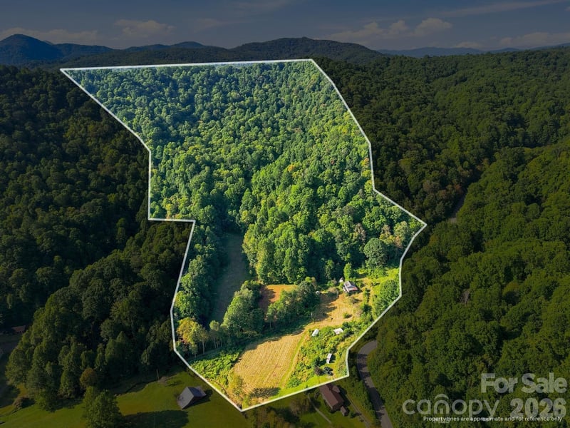 1487 Poplar Gap Road, Hot Springs, NC - 2 beds, 1 bath, 654 sqft - $515,000