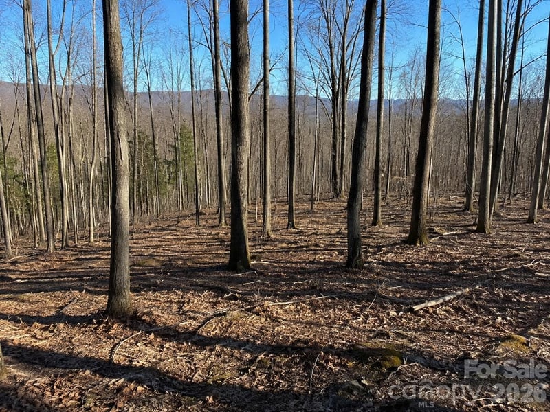 00 Crab Apple Drive, Burnsville, NC -  - $75,000