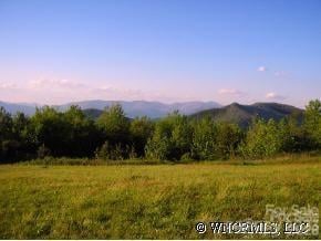 9999 Ebby Ridge Drive Apt 340, Fairview, NC -  - $750,000