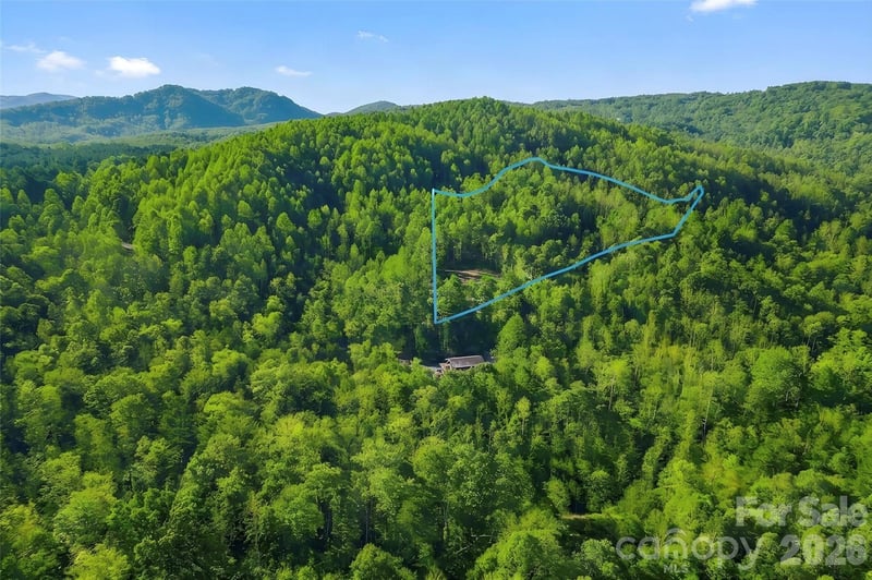 101 Jill Drive, Nebo, NC -  - $125,000