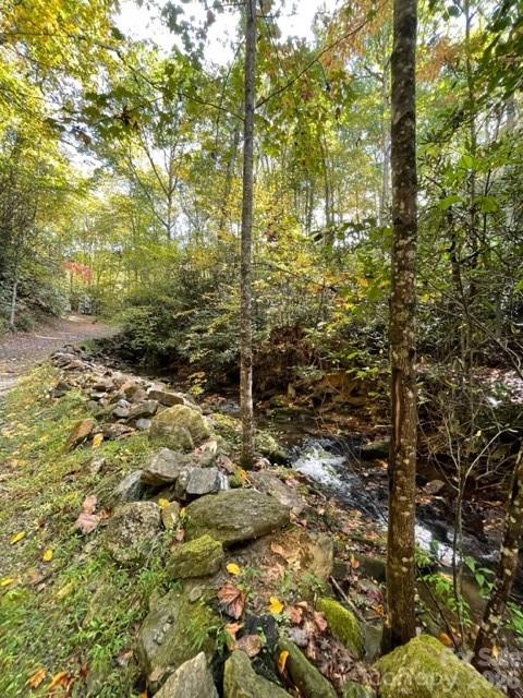 724 Blackgum Court #350, Hendersonville, NC. property listing photo