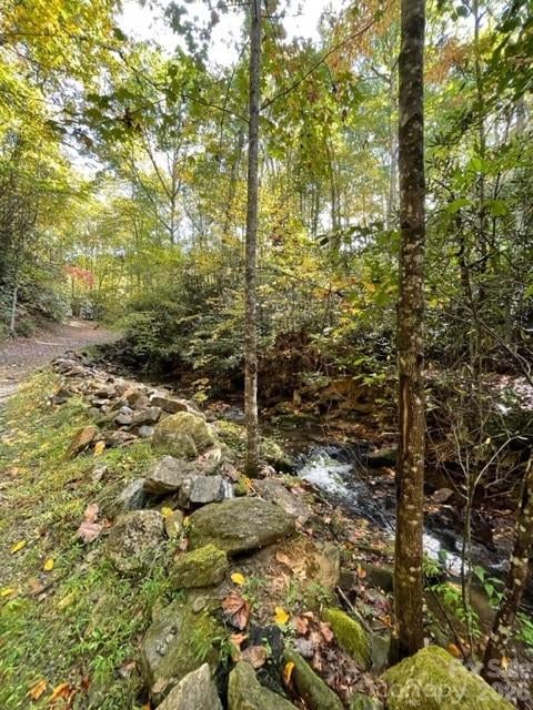 724 Blackgum Court #350, Hendersonville, NC -  - $50,000